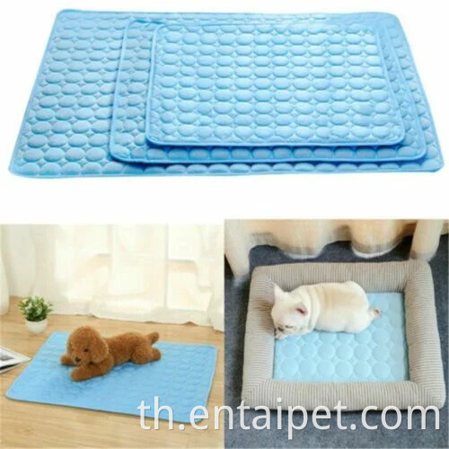 สุนัขระบายความร้อนในฤดูร้อนชุดเครื่องนอนเสื่อน้ำแข็งสุดหรู